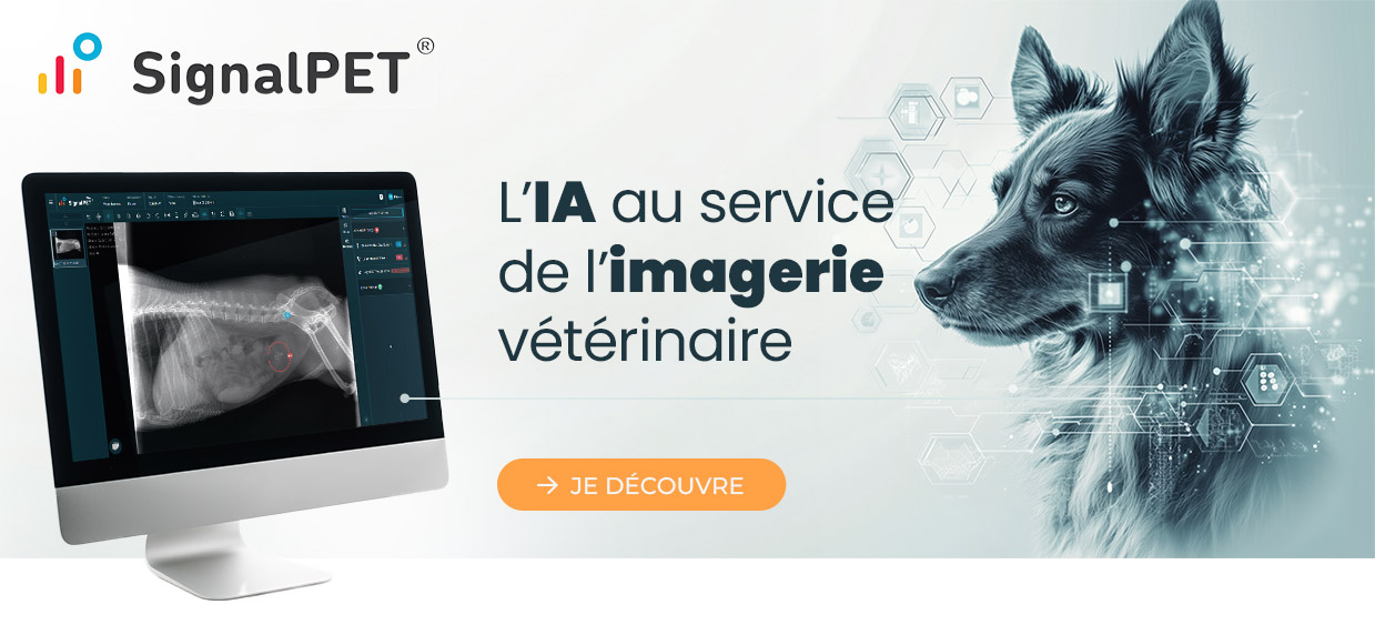 SignalPET IA imagerie vétérinaire